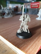 Warhammer Age of Sigmar Cursed City Captain Emelda Braskov Hero Miniature