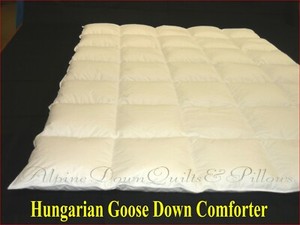 alpine down feather & down comforter