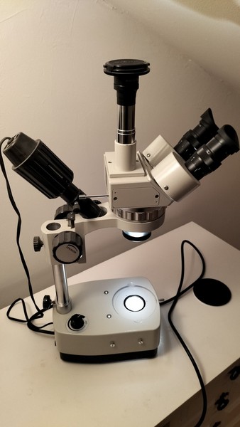 microscopio Kiowa binocular