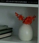 Beautiful West Elm Bud Vase — photo 1