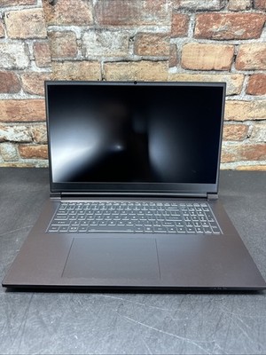 System 76 Gazelle 17 Tested LCD Screen w/ Chassis & Battery   No Motherboard