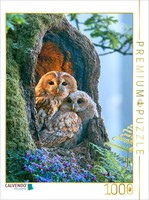 "Calvendo Puzzle An Image From The \"Wonders Of The Wild\" Calendar | 1000 Pieces,"