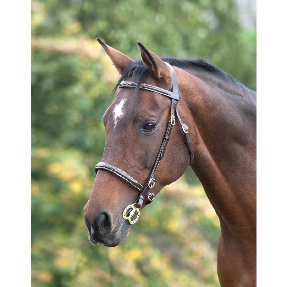 Bretelles Cuir Shires Velociti Gara - Taille 1/2 Adulte - Couleur Havane - Neuves