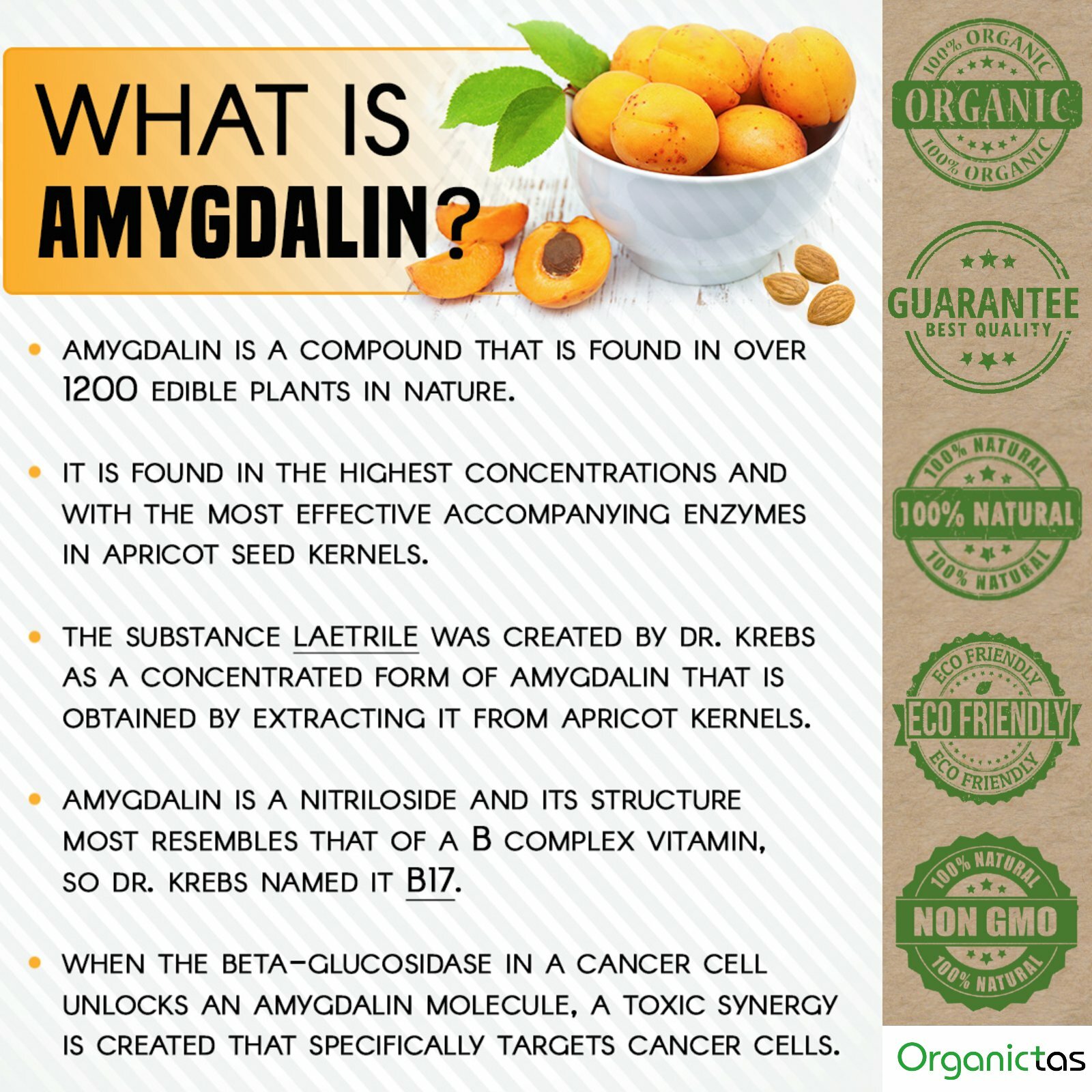 Bitter Apricot Kernel Powder Raw Organic Premium Quality Many Health