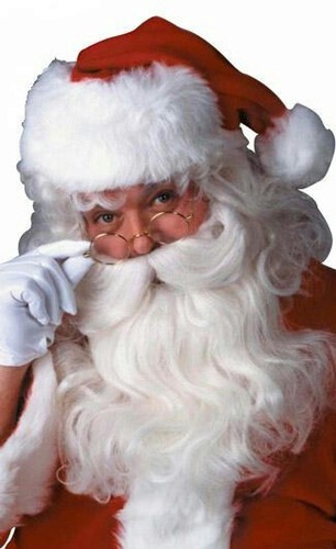Forum Deluxe Santa Wig and Beard Set - Picture 2 of 2