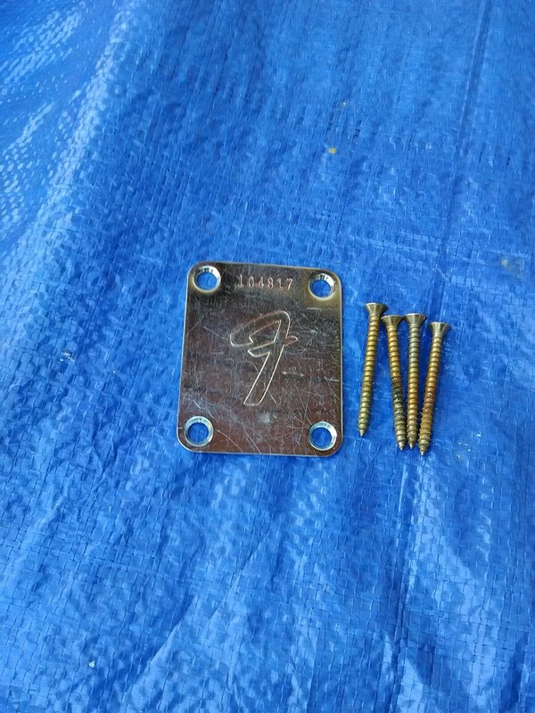 1960s Vintage Fender Stratocaster neck plate