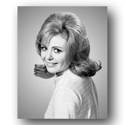 Deborah Walley Photo 8x10 The Mothers-in-Law 1968 TV Sitcom Publicity Portrait