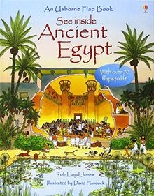Egypt (See Inside) (Usborne See Inside) von Jones, Rob L... | Buch | Zustand gut