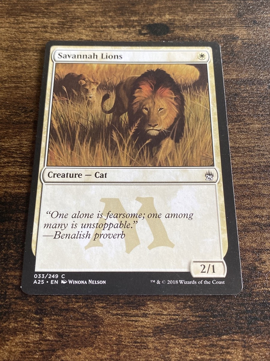 マジック：ザ・ギャザリング MTG Savannah b0d161fc-4a2a-4f1d-82b4-