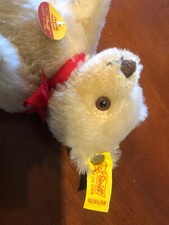 Vintage Original STEIFF 0201/18 TEDDY BEAR KNOPF IM OHR. All Tags Attached. Mint