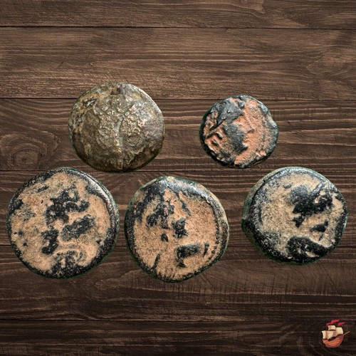 LOT 5 Ancient Greek coins Seleucid Seleukid Empire (1st Century BC) #A436 - Bild 2 von 8