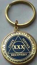 BSP AA Medallion Holder Keychain For Bi-Plate BSP and RecoveryChip Coins