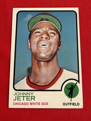 White Sox Baseball Card Lot Bill Melton Chuck Tanner Brinkman Johnson Williams - Picture 6 of 11