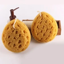 2 Pcs Honeycomb Bath Sponge Body Exfoliating Tool Skin Cleaning Scrubber