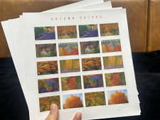 2024 Autumn Colors Forever, 5 Full Sheets 100Pcs MNH OG Mint