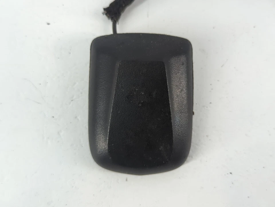 2008 克莱斯勒城镇和乡村无线电天线桅杆 CHY1W — 第 2/4 张图片