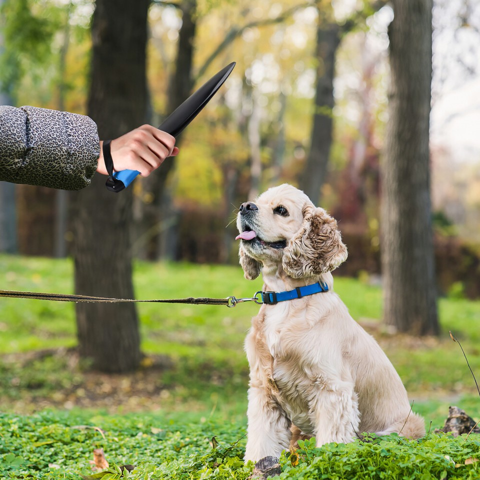 Dog Training Equipment Interactive Stick for Fighting Break Rod eBay