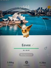 Pokemon Go Non-Shiny Eevee Explorer Hat Sydney Background