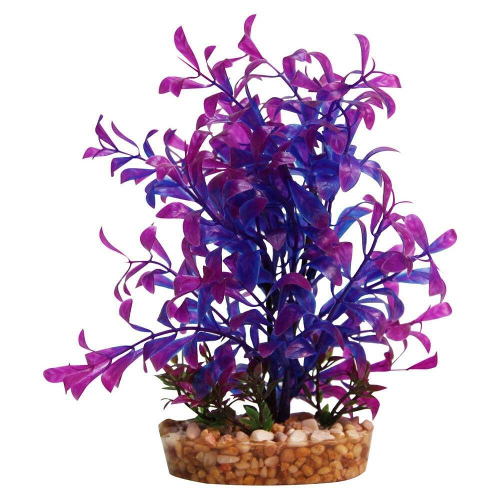 Aqua One Vibrance Blue Hygrophila Aquarium Fish Tank Plastic Plant 20cm