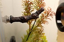 Jumping Spider Perches With Magnets