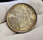 1884 US Morgan Silver Dollar $1 Unc (Toned)
