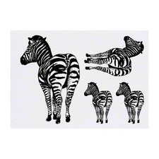 4 x 'Zebra' Temporary Tattoos / Transfers TO00003791 