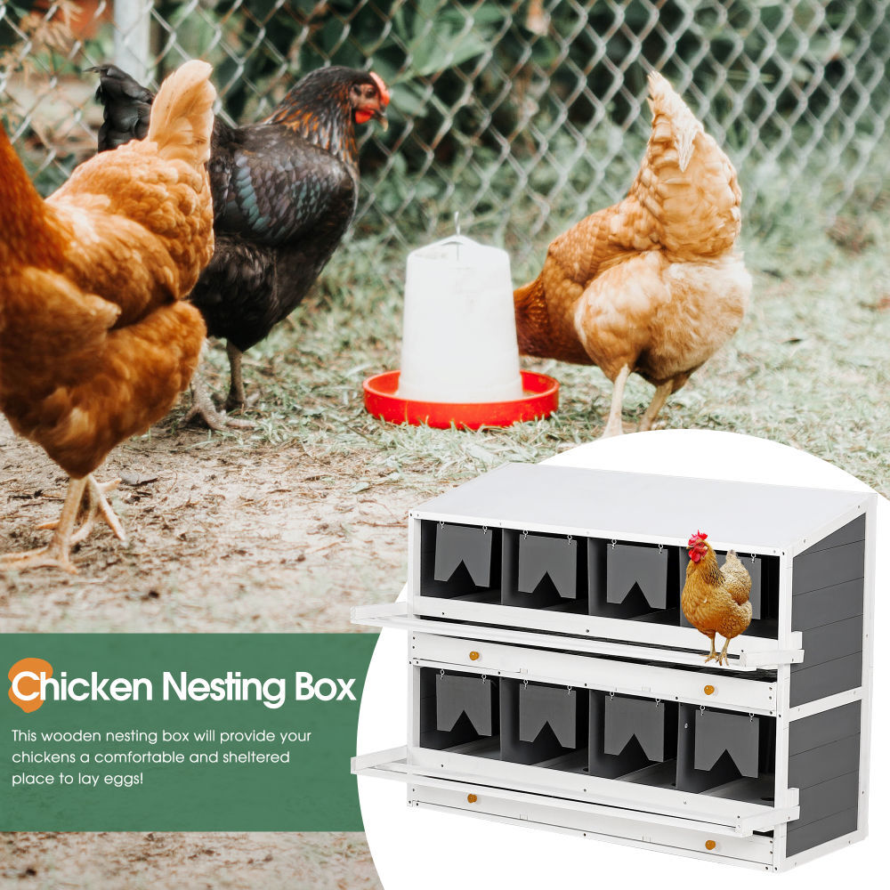 Wooden Chicken Nesting Box for Laying Eggs,Solid Pine Wood 8 Compartments Egg eBay