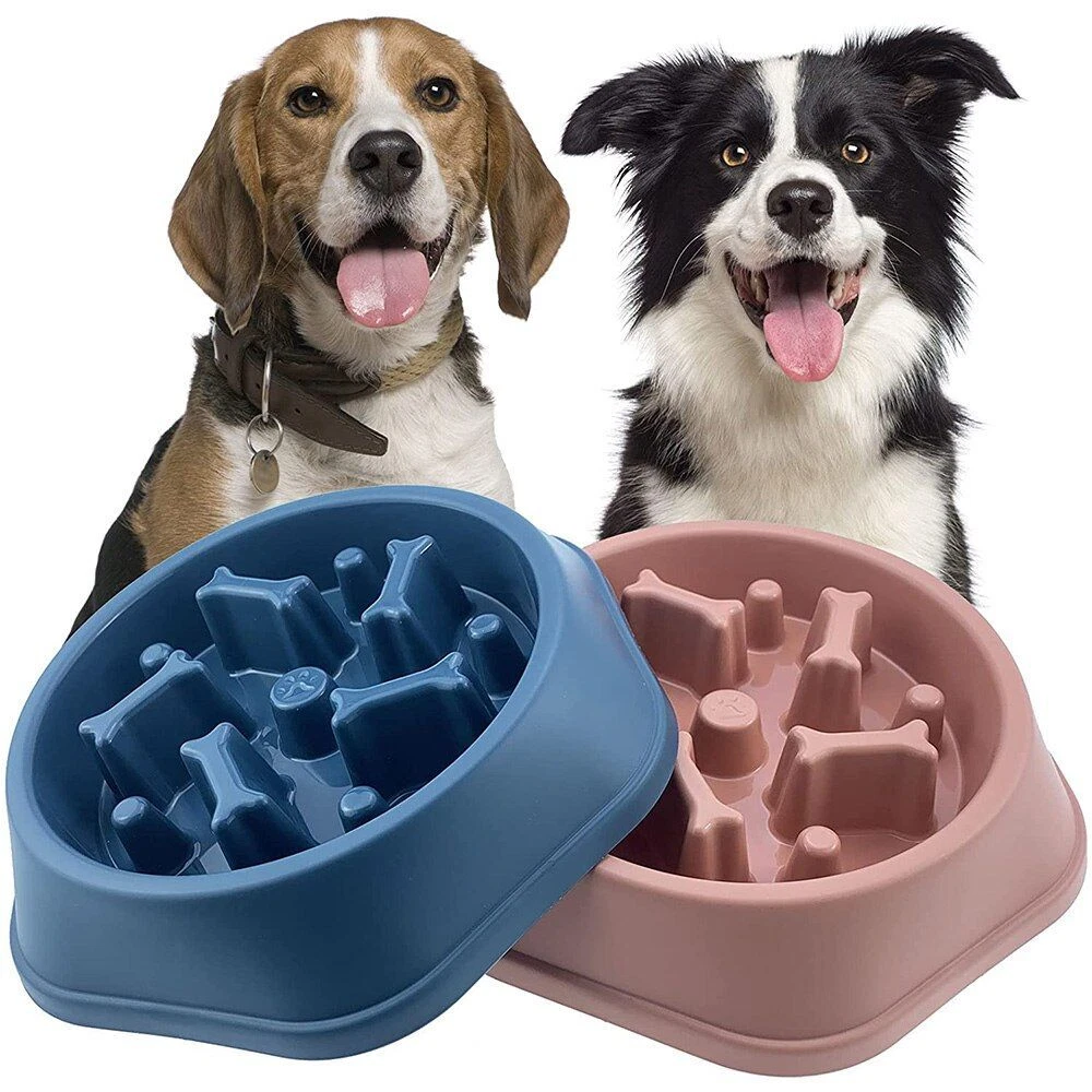 Pet Slow Feeder Bowl Dog Puppy Cat Slow Eating Dish Bowl Anti