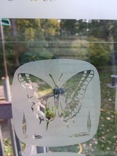 BUTTERFLY Decal 4"x4" Etched Glass Look Cling Removable Reusable 1101