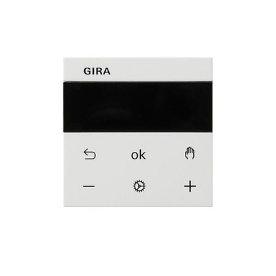 Gira RTR Display 539303 intelligent RTR