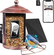Bird Feeder with Camera Wireless Outdoor, Smart Bird Feeder Solar Powered, AI Id