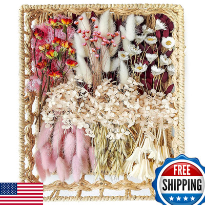 Xin'S Convey Diy Natural Dried Flower Set For Vase Bulk Boho Dried Flowers