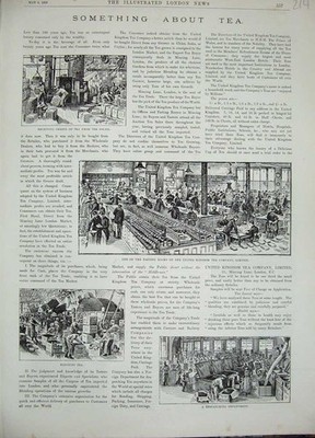 Alter antiker Druck 1893 Teetruhen Docks United Kingdom Company Tasting 19.