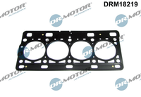 Dichtung Zylinderkopf FüR Nissan Renault Dacia Kubistar Kasten Clio II III