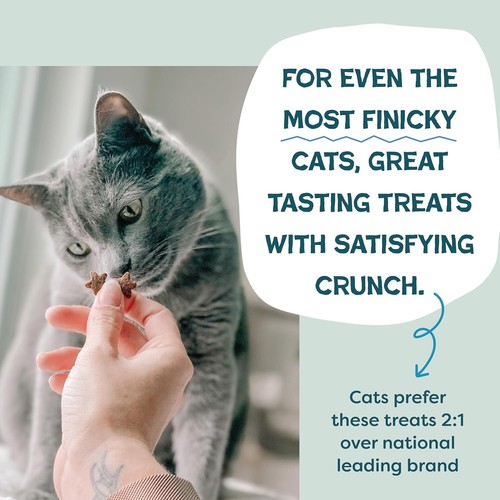 Shameless Pets Crunchy Catnip Treats for Cats - Digestive Support, Natural - Picture 4 of 6