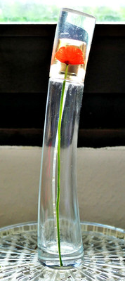 Flacon ''Flower'' by Kenzo Eau de Parfum 50 ml_Made In France_Leer!_