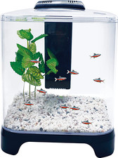Fish Tank Kit with LED Light and Internal Filter Black 1.5 Gallon