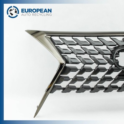 アツ　グラキリス altalistsports