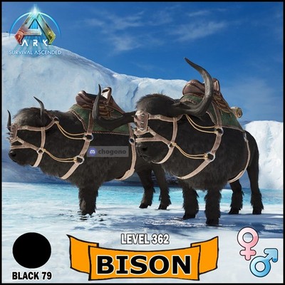 Ark Survival Ascended PC/PS5/XBOX PVE BLACK BISON Level 362