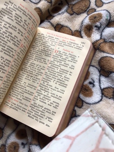 Catholique Catholicisme Breviarium Romanum. Tomus Prior. Dessin. 1961 - Picture 8 of 22