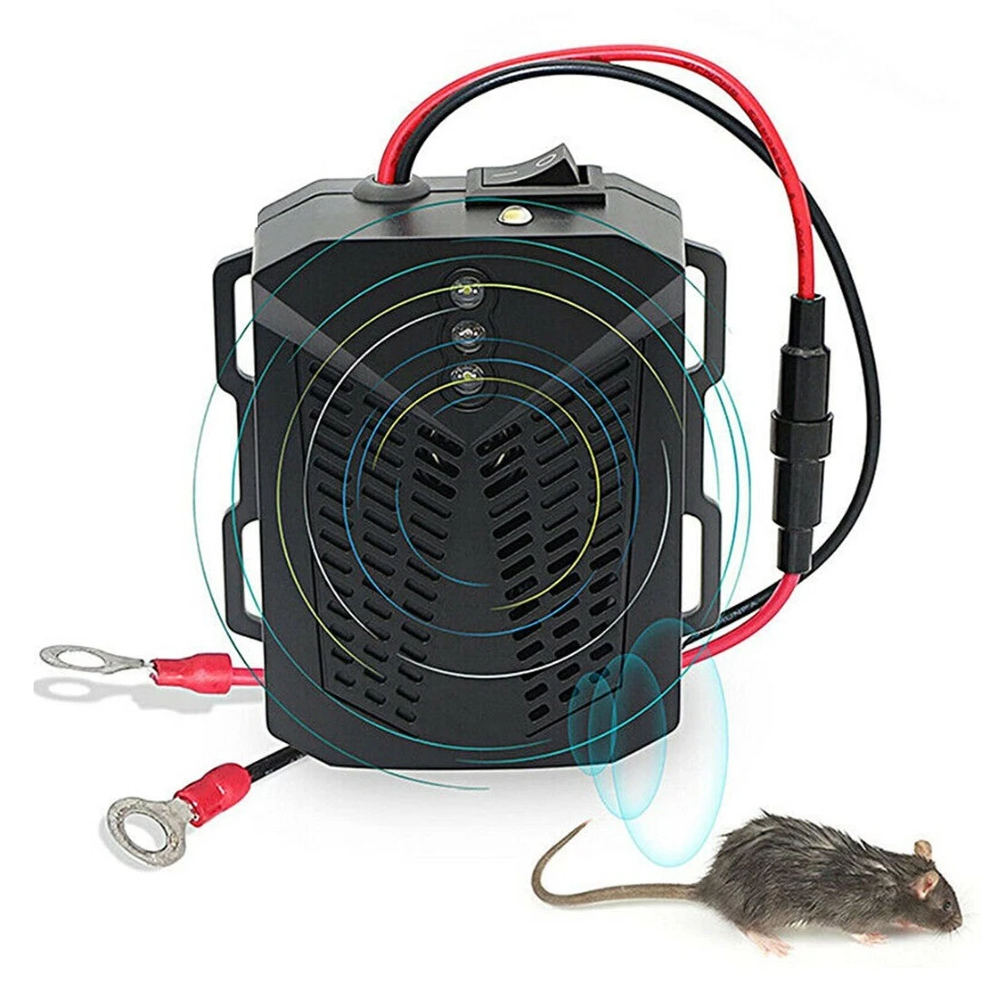 Anti rat cheap
