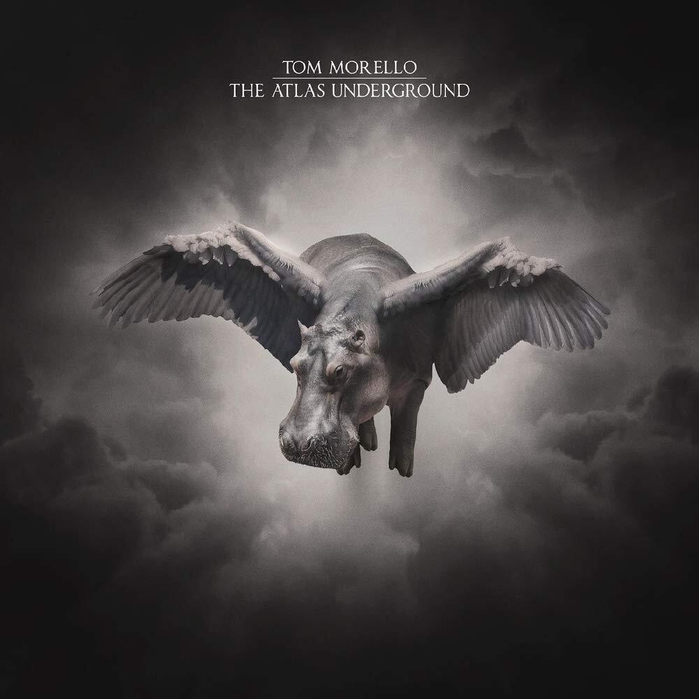 The Nightwatchman Atlas Underground (Gold & (Vinyl LP)