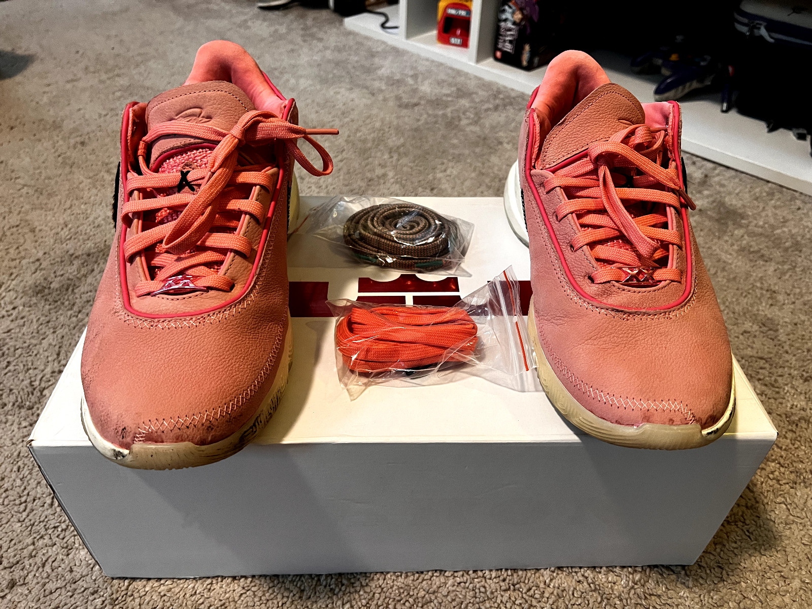 Size 10.5 - Nike LeBron 20 (XX) South Beast Pink - Worn