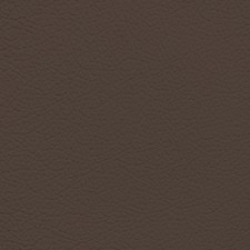 Nissan Mocha Leather Dye