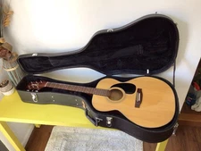 Takamine G-230 Acoustic Guitar G-Series