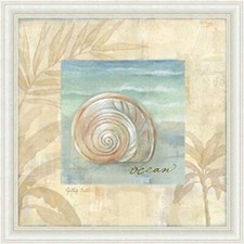 FRAMED Island Shell I by Cynthia Coulter 12x12 Art Print Starfish