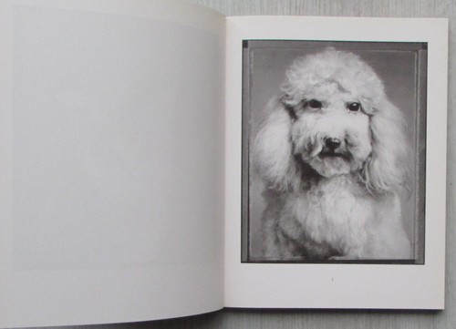 Animal - Bettina Rheims. Libro de fotografia de una excepcional fotógrafa. - Imagen 3 de 22