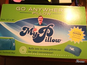 go anywhere pillow case