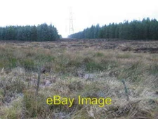 Photo 6x4 Pylons through forest clearing Springhill  c2006