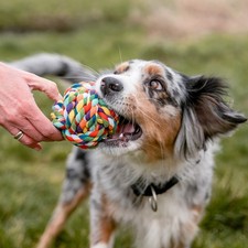Nobby Baumwollball Ball Tau Spielball Hundespielzeug Spielzeug Dental Hund